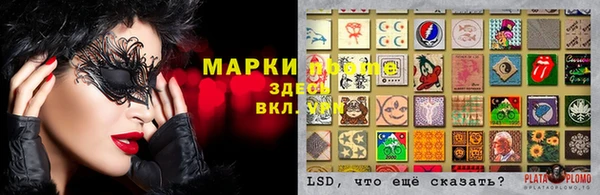 мдпв Белокуриха