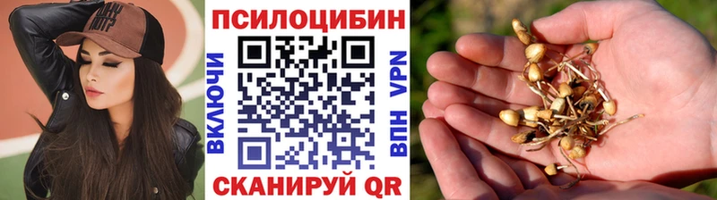 Галлюциногенные грибы ЛСД  Острогожск 
